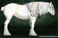 Horse Color:White Spotted Gold Cream Champagne Dun 