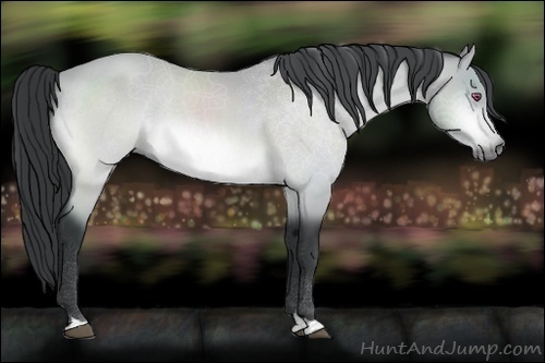 Horse Color:Bay Chinchilla 