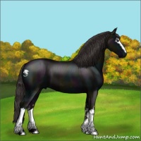 Horse Color:White Spotted Midnight Smoky Black Sabino 