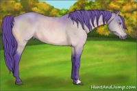 Horse Color:Watercolor Chocolate Bay Chinchilla 