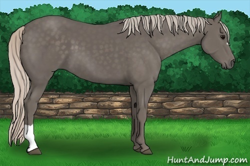 Horse Color:Silver Black 