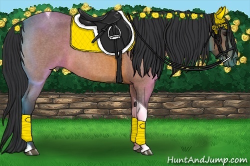 Horse Color:Bay Roan Tobiano