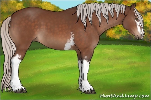 Horse Color:White Spotted Silver Bay Sabino 