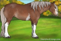 Horse Color:White Spotted Silver Bay Sabino