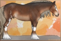 Horse Color:White Spotted Liver Chestnut 