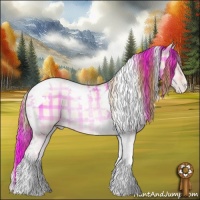 Horse Color:Plaid White Spotted Sable Champagne Pearl Onyx Tobiano Rabicano