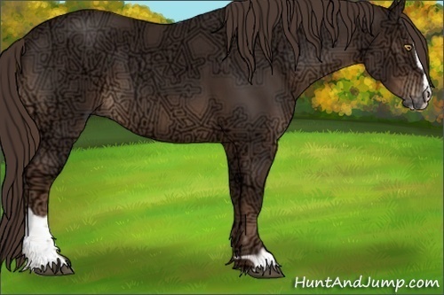 Horse Color:Liver Chestnut Ice Sabino 