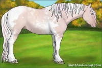 Horse Color:Watercolor Silver Classic Champagne Dun Tobiano 