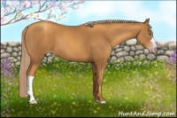 Horse Color:Gray Gold Champagne