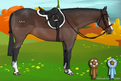 Horse Color:Brown Sabino 