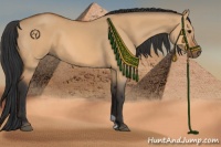 Horse Color:Bay Dun