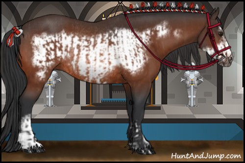 Horse Color:Brown Rabicano  and Brown Frame Rabicano 
