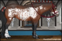 Horse Color:Brown Rabicano  and Brown Frame Rabicano 