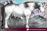 Horse Color:White Spotted Black