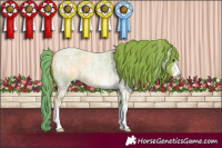 Horse Color:Watercolor White Spotted Red Roan 