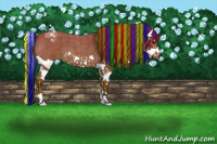 Horse Color:Gray Painted Bay Roan Splash Varnish 