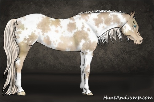 Horse Color:White Spotted Chocolate Palomino Pearl 