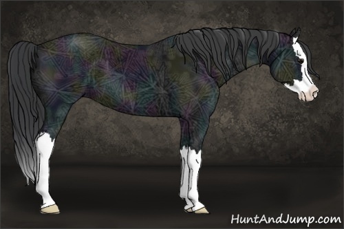 Horse Color:Midnight Black Ice Sabino Splash