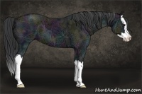 Horse Color:Midnight Black Ice Sabino Splash 