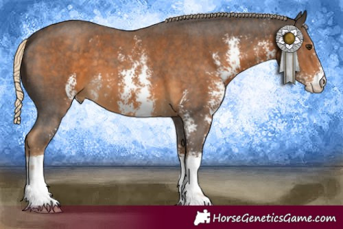 Horse Color:Chocolate Palomino Sabino
