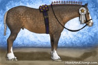 Horse Color:Chocolate Palomino Sabino 