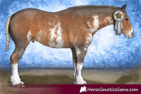 Horse Color:Chocolate Palomino Sabino