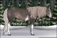 Horse Color:Platinum White Spotted Liver Chestnut Splash 