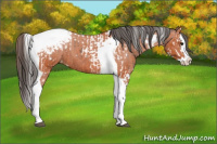 Horse Color:Bay Splash Tobiano Varnish  and Bay Splash Tobiano Varnish 