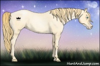 Horse Color:Buckskin Roan Pearl  and Buckskin Roan Pearl Frame 