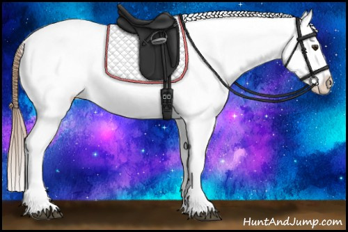 Horse Color:White Spotted Red Dun Tobiano Appaloosa 