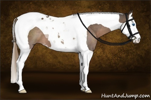 Horse Color:Liver Chestnut Sabino Splash Tobiano 