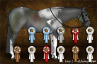 Horse Color:Black Tobiano 