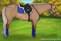 Horse Color:Silver Bay Dun