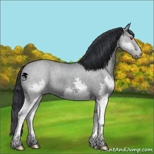 Horse Color:Grullo Chinchilla Splash 
