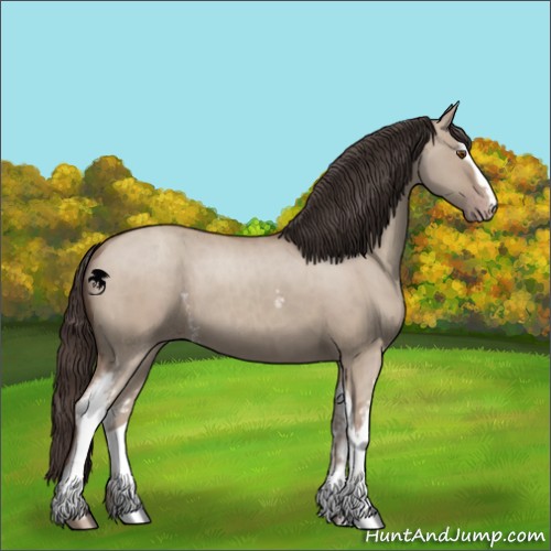 Horse Color:White Spotted Classic Champagne Dun Brindle 