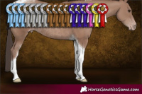 Horse Color:Classic Champagne Tobiano Rabicano