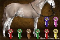 Horse Color:Black Pearl Sabino Rabicano