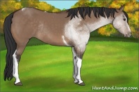 Horse Color:Brown Dun Sabino Tobiano Rabicano