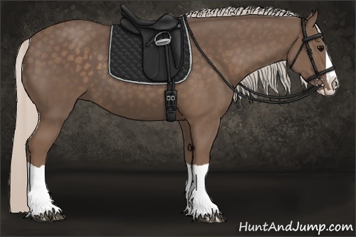 Horse Color:Silver Black Splash