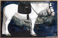 Horse Color:White Spotted Bay Dun Tobiano Snowcap Rabicano 