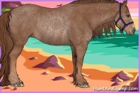 Horse Color:Chestnut Rabicano