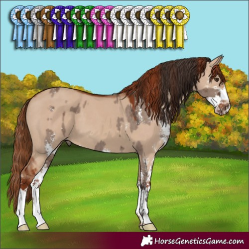 Horse Color:Liver Red Dun Sabino and Red Dun Sabino
