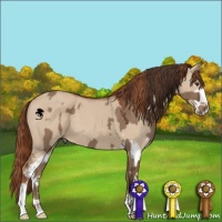 Horse Color:Liver Red Dun Sabino  and Red Dun Sabino 