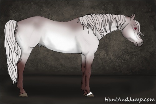 Horse Color:Chocolate Silver Bay Chinchilla 