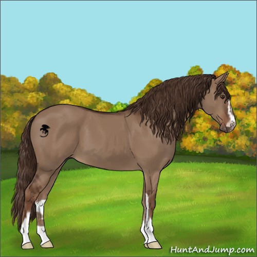 Horse Color:Liver Red Dun Sabino 