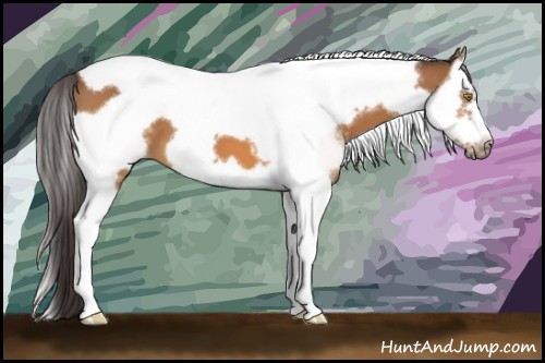 Horse Color:Buckskin Splash Tobiano Frame