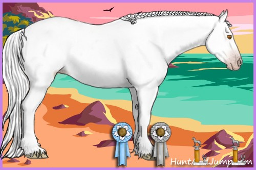 Horse Color:Gray Sable Champagne Roan Splash Varnish