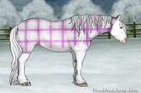 Horse Color:Plaid  Silver Brown Chinchilla Sabino Splash Rabicano 