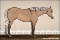 Horse Color:Silver Bay Dun Splash