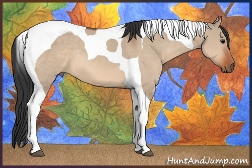 Horse Color:Bay Dun Tobiano